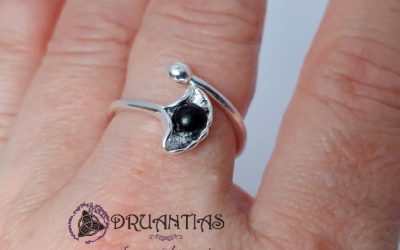 Anillo Azabache Ginko 925 AAZA2